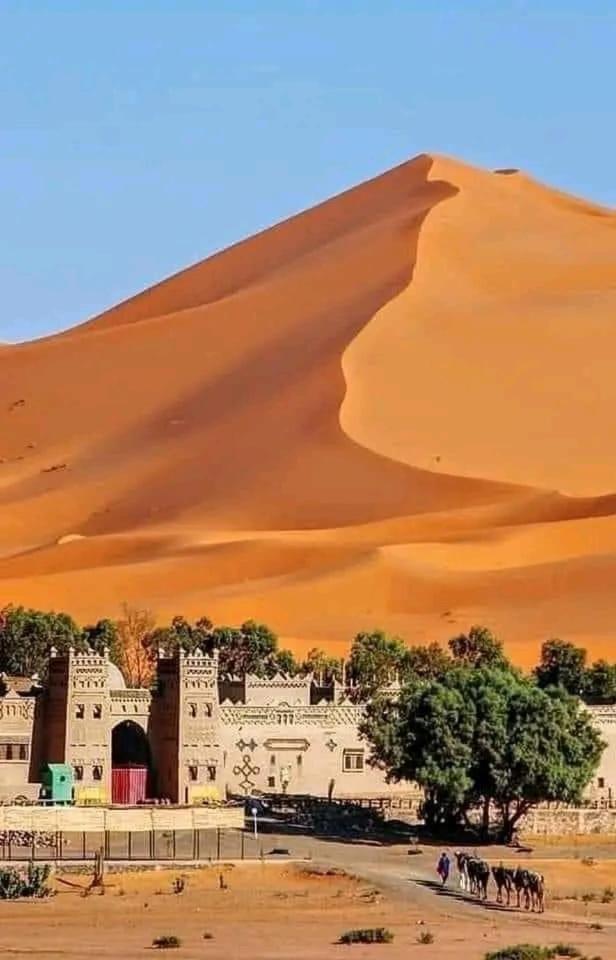 Red Vibes Marrakech Albergue *