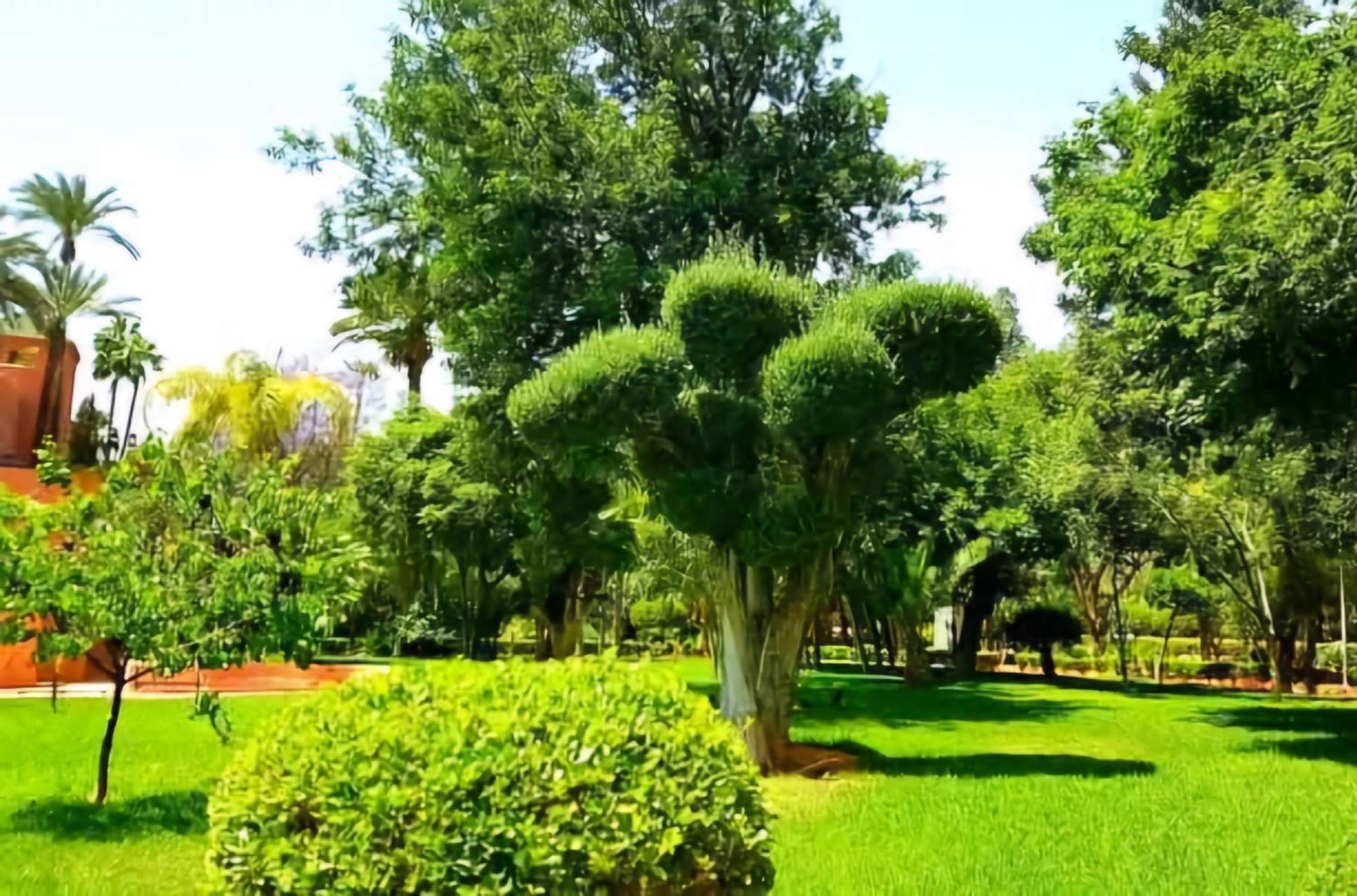 La Perle De L'atlas By Golf Apartment Marrakesh