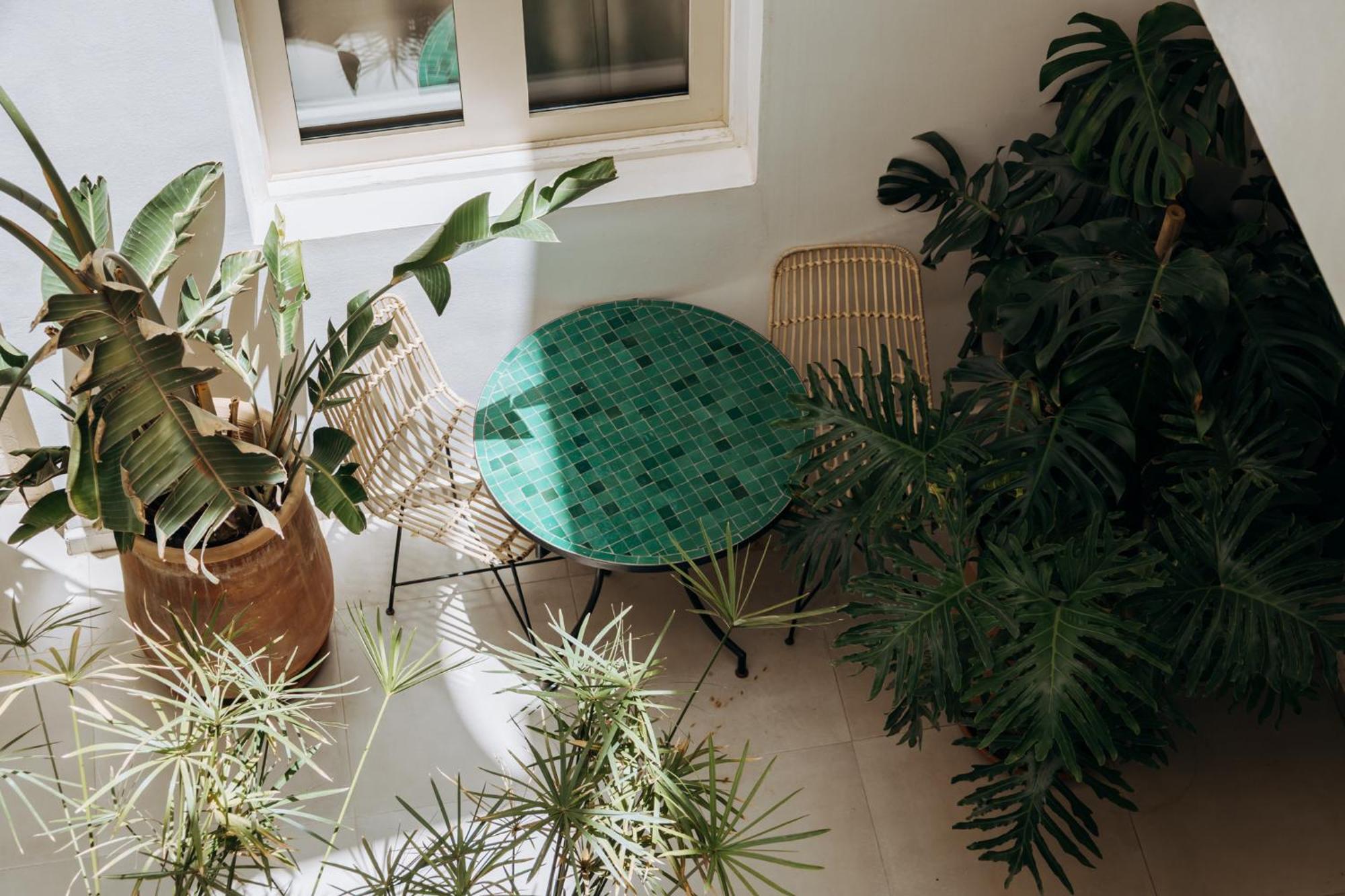 Dar Blanche & Marrakesh
