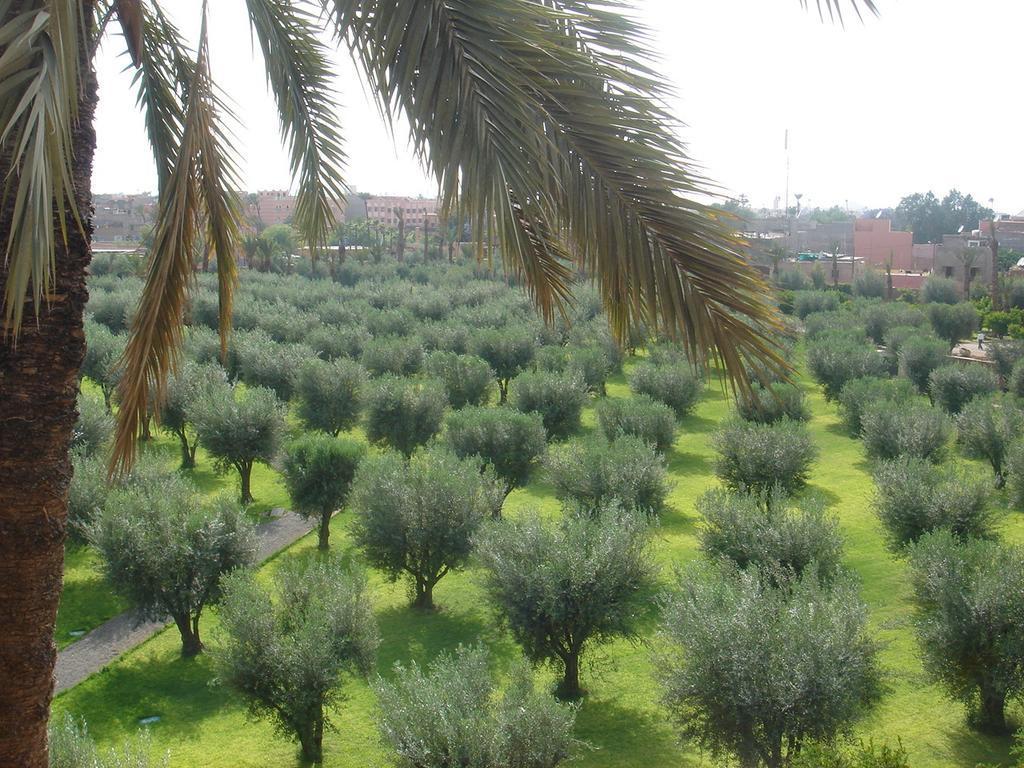 Dar Jl * Marrakesh