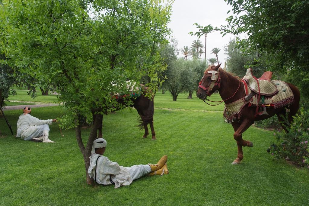 Dar Jl Marrakesh
