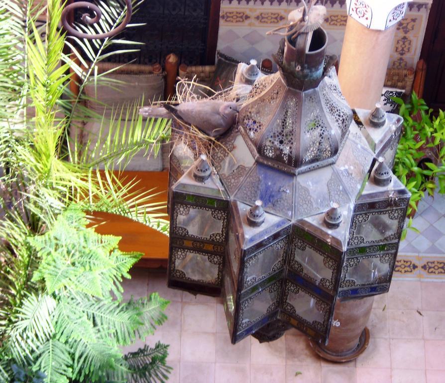 Riad Dar Malaika