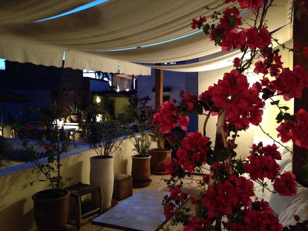 Riad Le Coq Fou Marrakesh