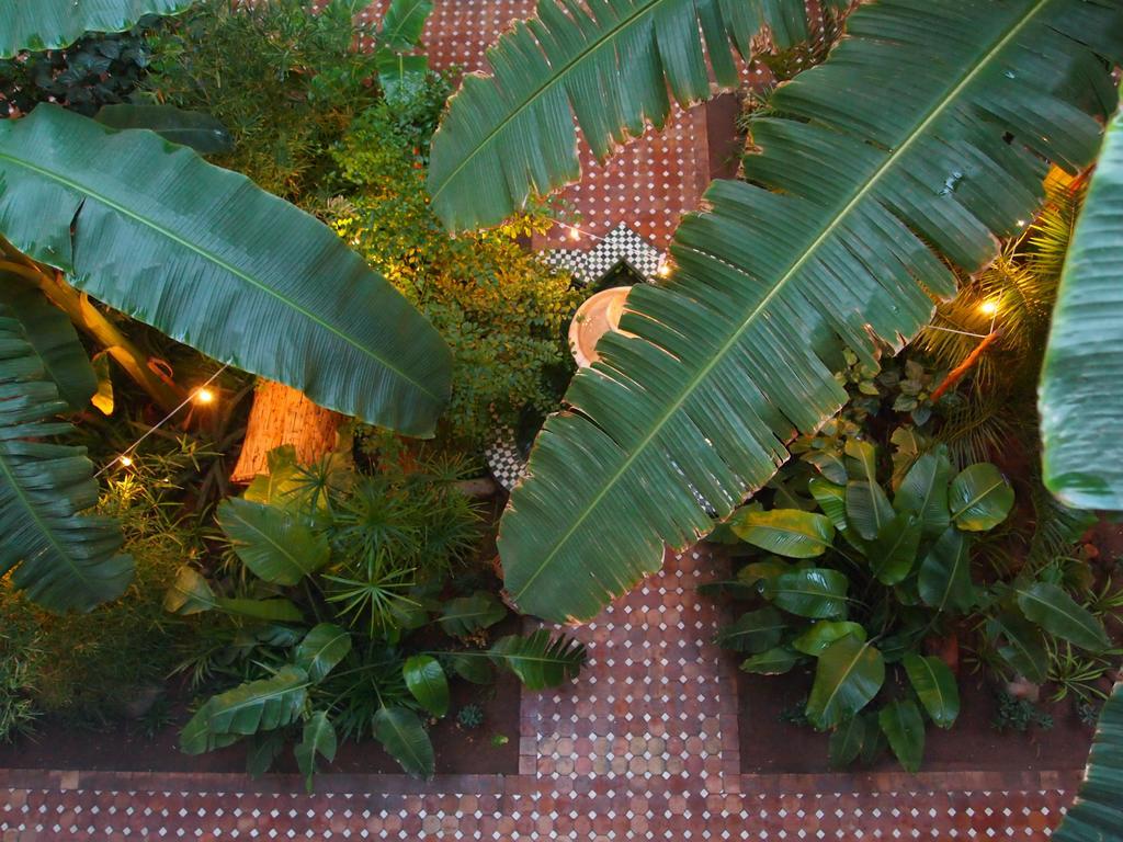 Jardin Secret