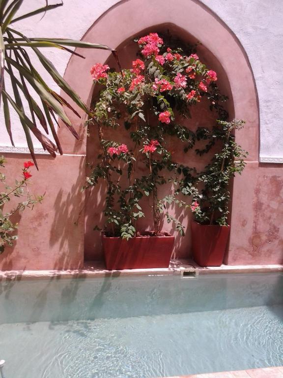 Dar Ganou Guest house