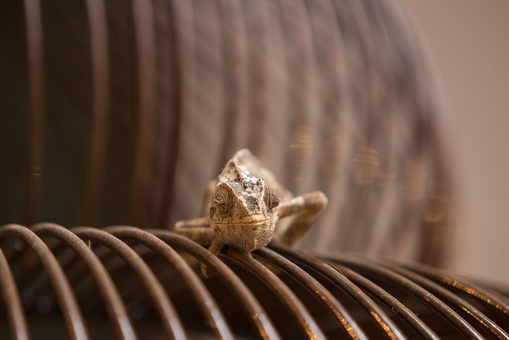 Riad Kasbah & Spa Marraquexe