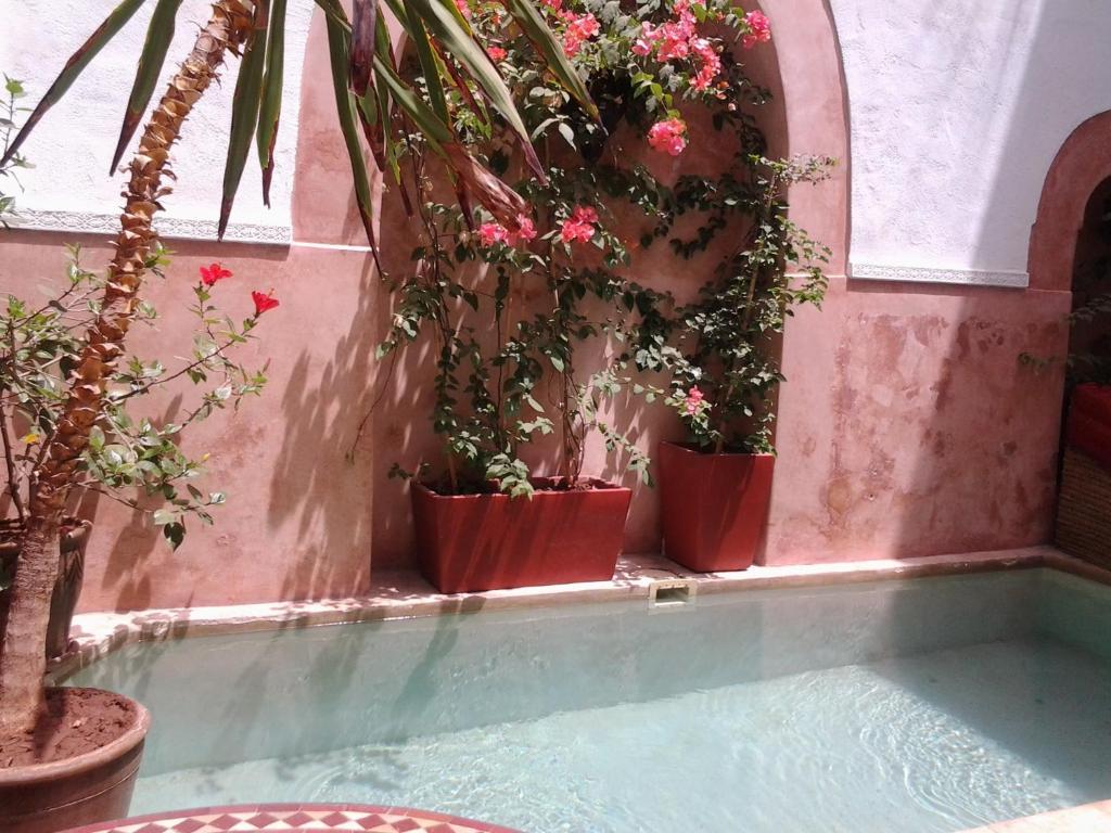 Dar Ganou Marrakesh
