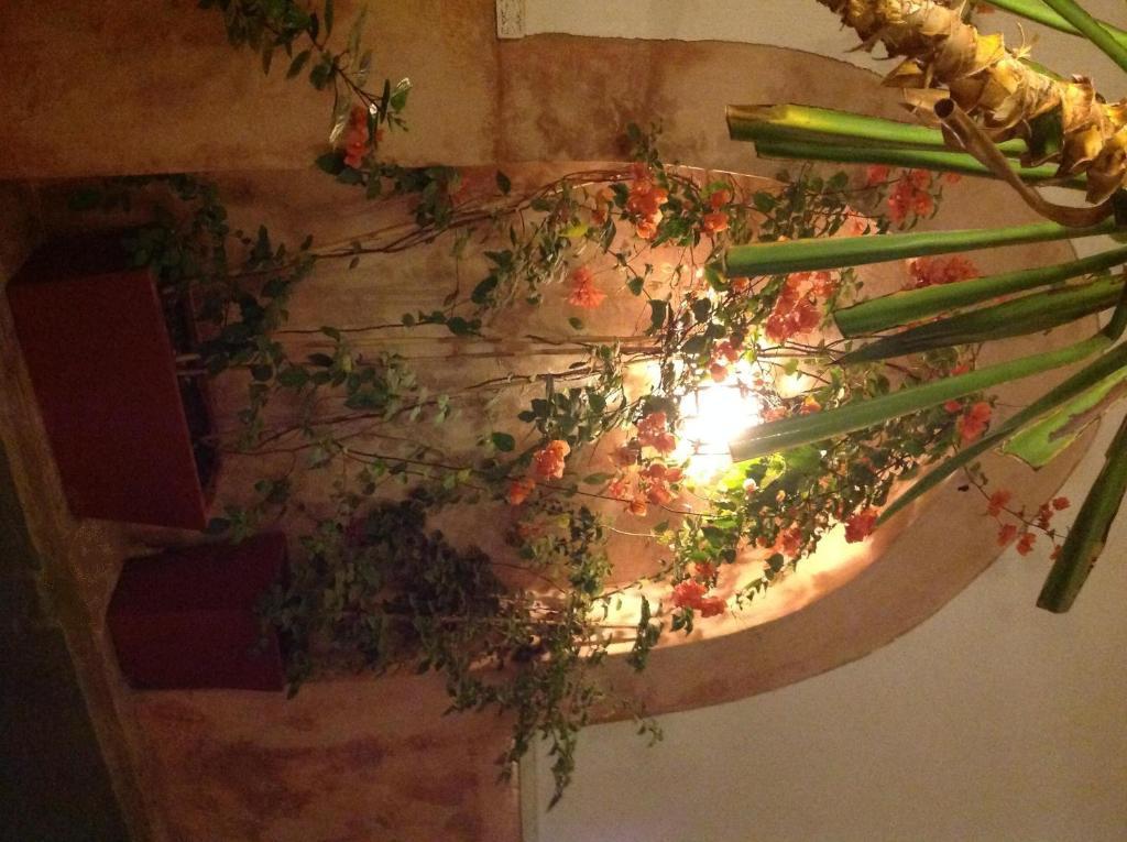 Guest house Dar Ganou 3*