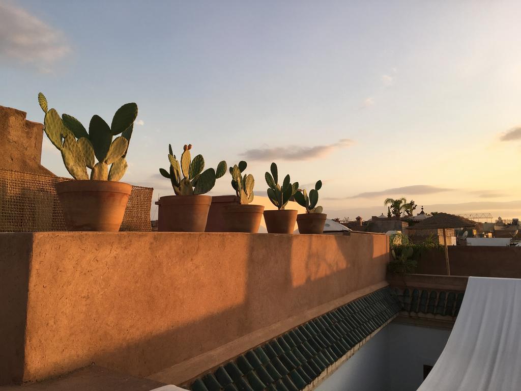 Up Marrakesh