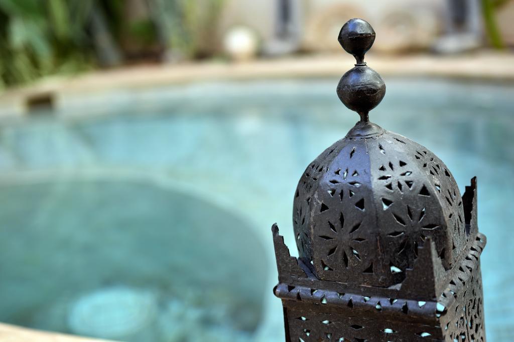 Les Ammonites And Marrakesh
