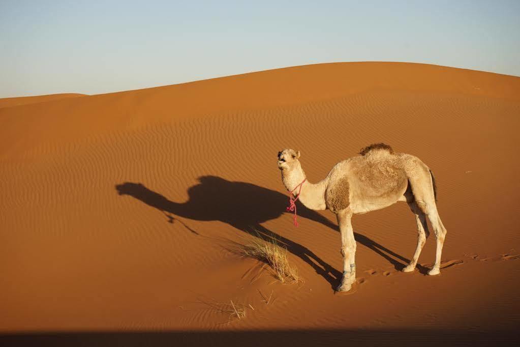 Nakhla
