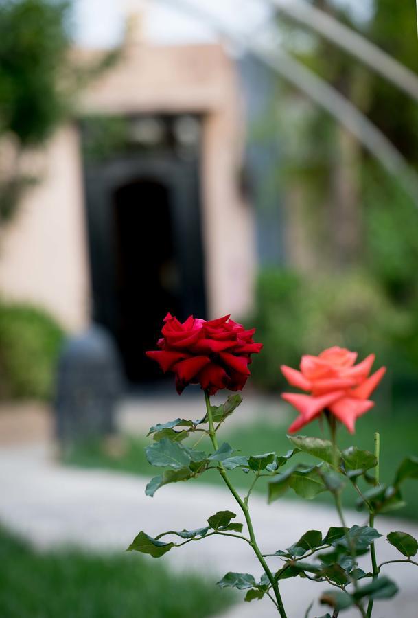 House 3* Marrakesh
