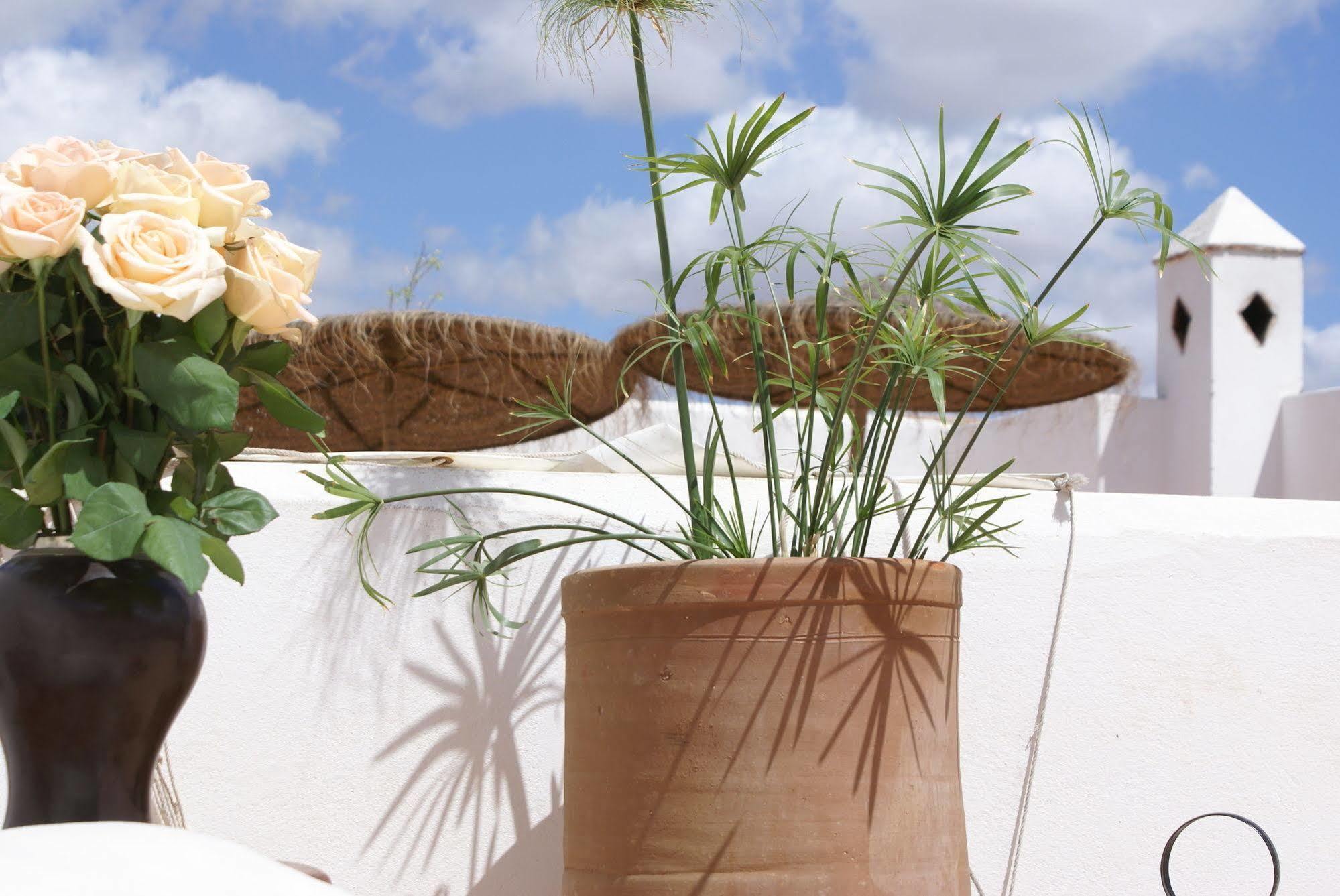 Les Orangers D'alilia Marrakesh