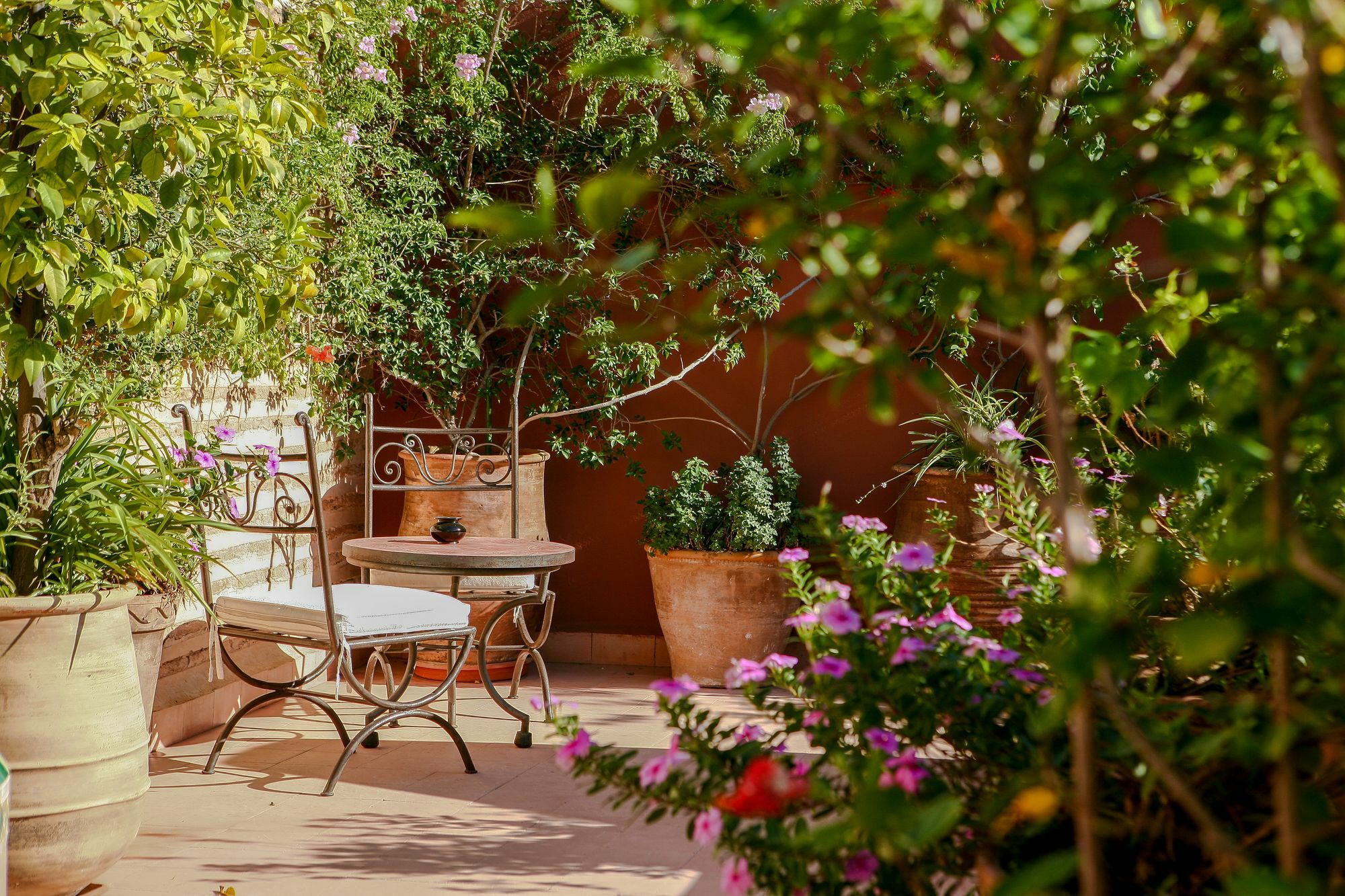 Dar Warda Riad