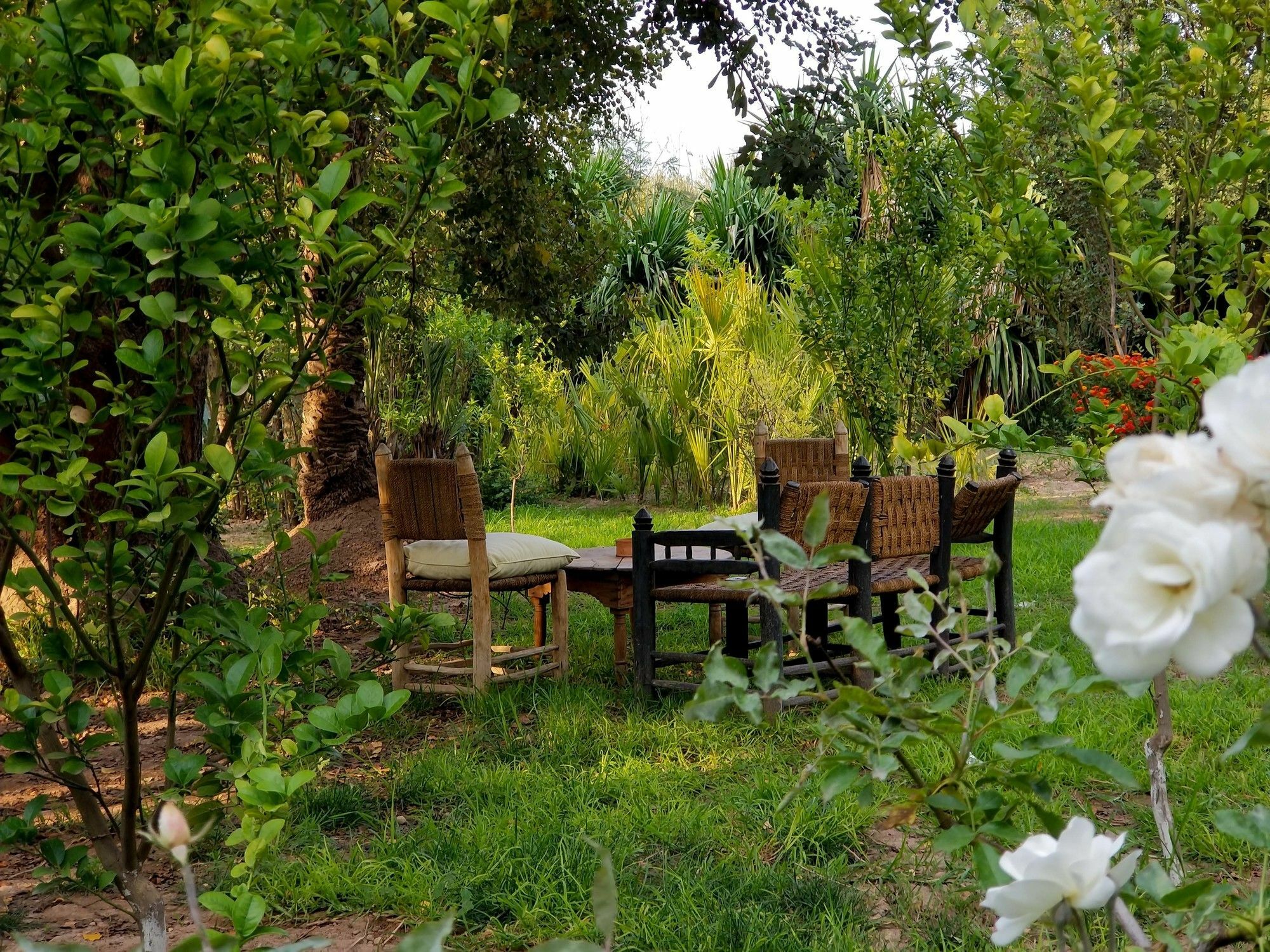 House 3* Marrakesh