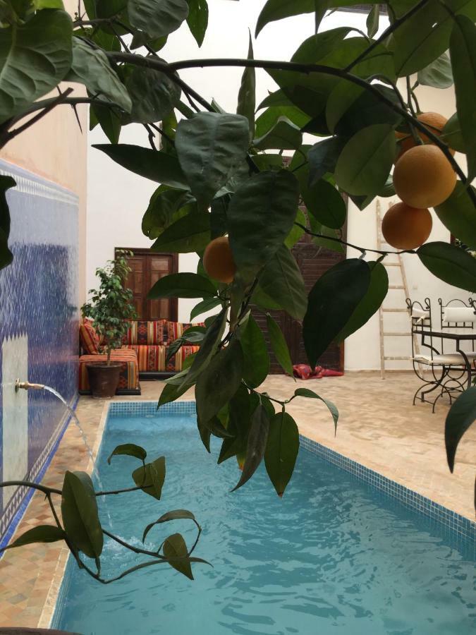 Guest house Safia 3*