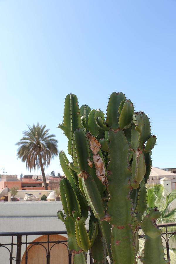 Riad Chergui 4*