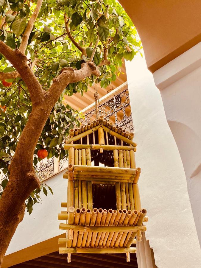 Les Orangers D'alilia Riad
