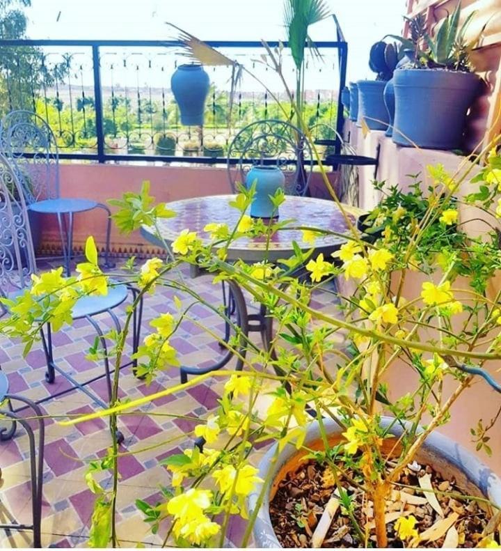Auberge de jeunesse Maison Ksiba *