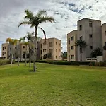 Jubaea Youmna