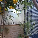 Riad Maizie