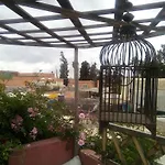 Riad Kalila