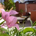 Riad Quara