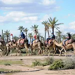Riad Palmier Fleuri