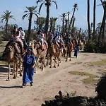 Riad Palmier Fleuri