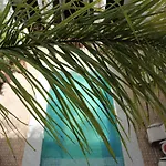 Riad Assouel