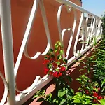 Riad Yara