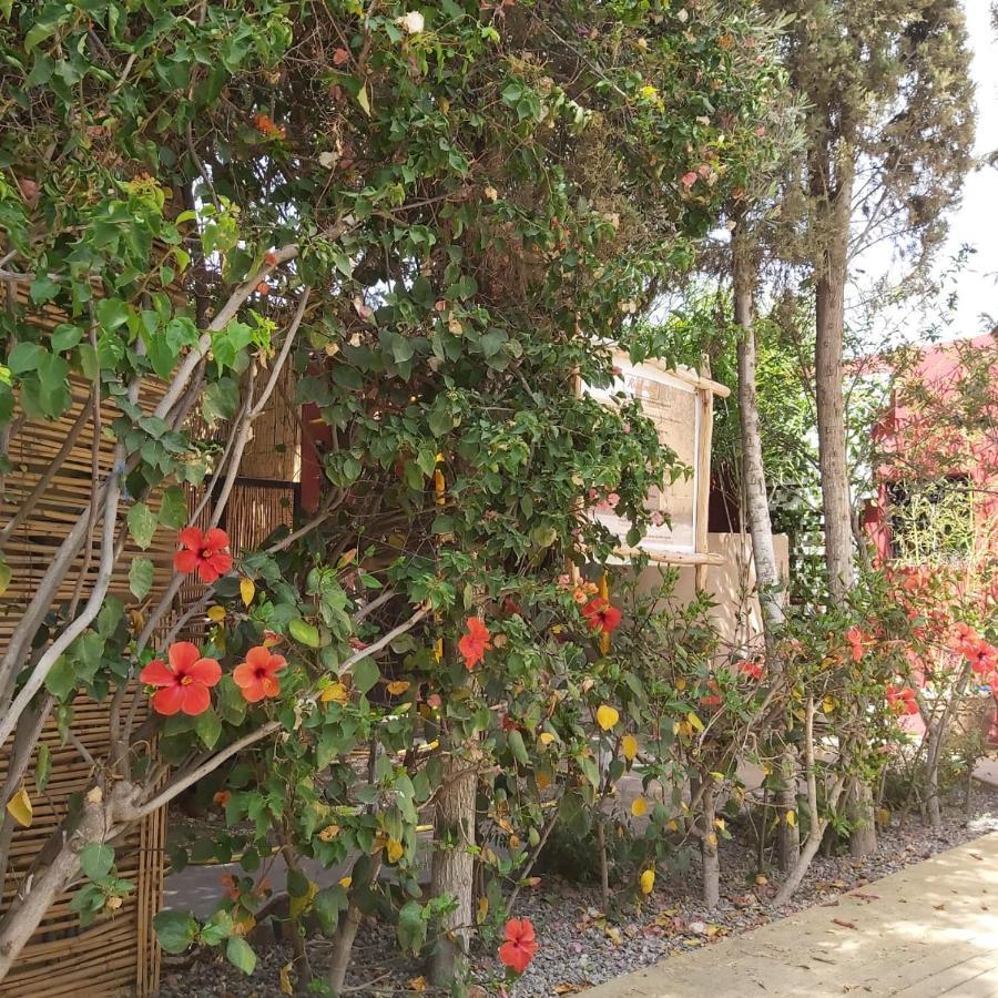 Bed & Breakfast Run Marine 1 Marrakech Marrakesh