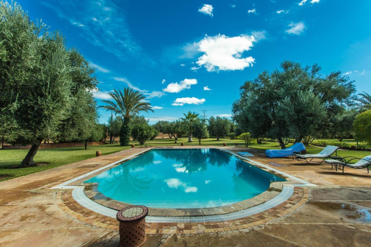 Villa Les Oliviers - A Setting Of Tranquility