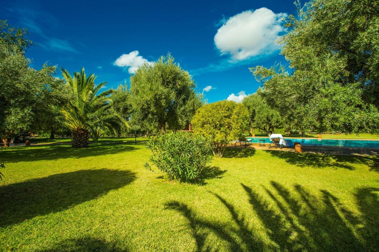 Les Oliviers - A Setting Of Tranquility *