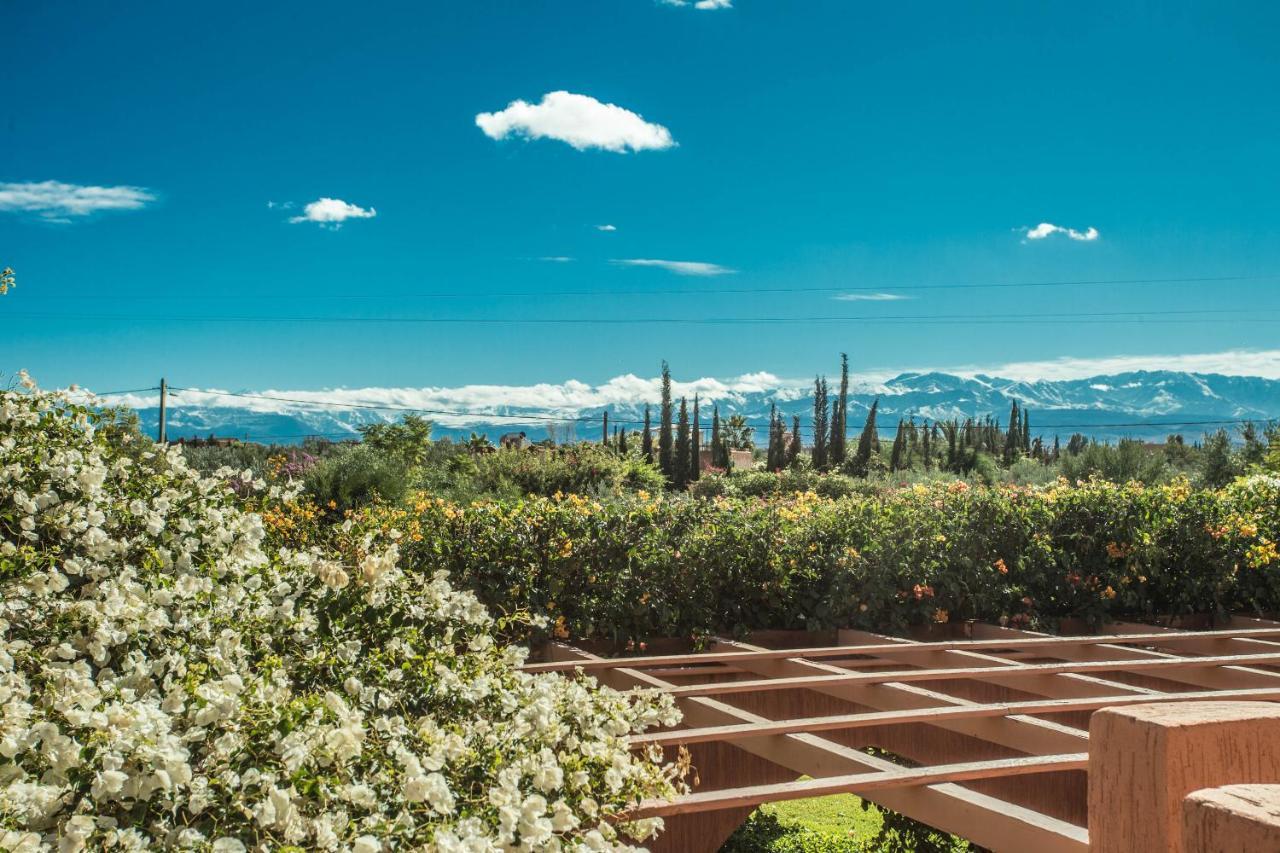 Les Oliviers - A Setting Of Tranquility Villa
