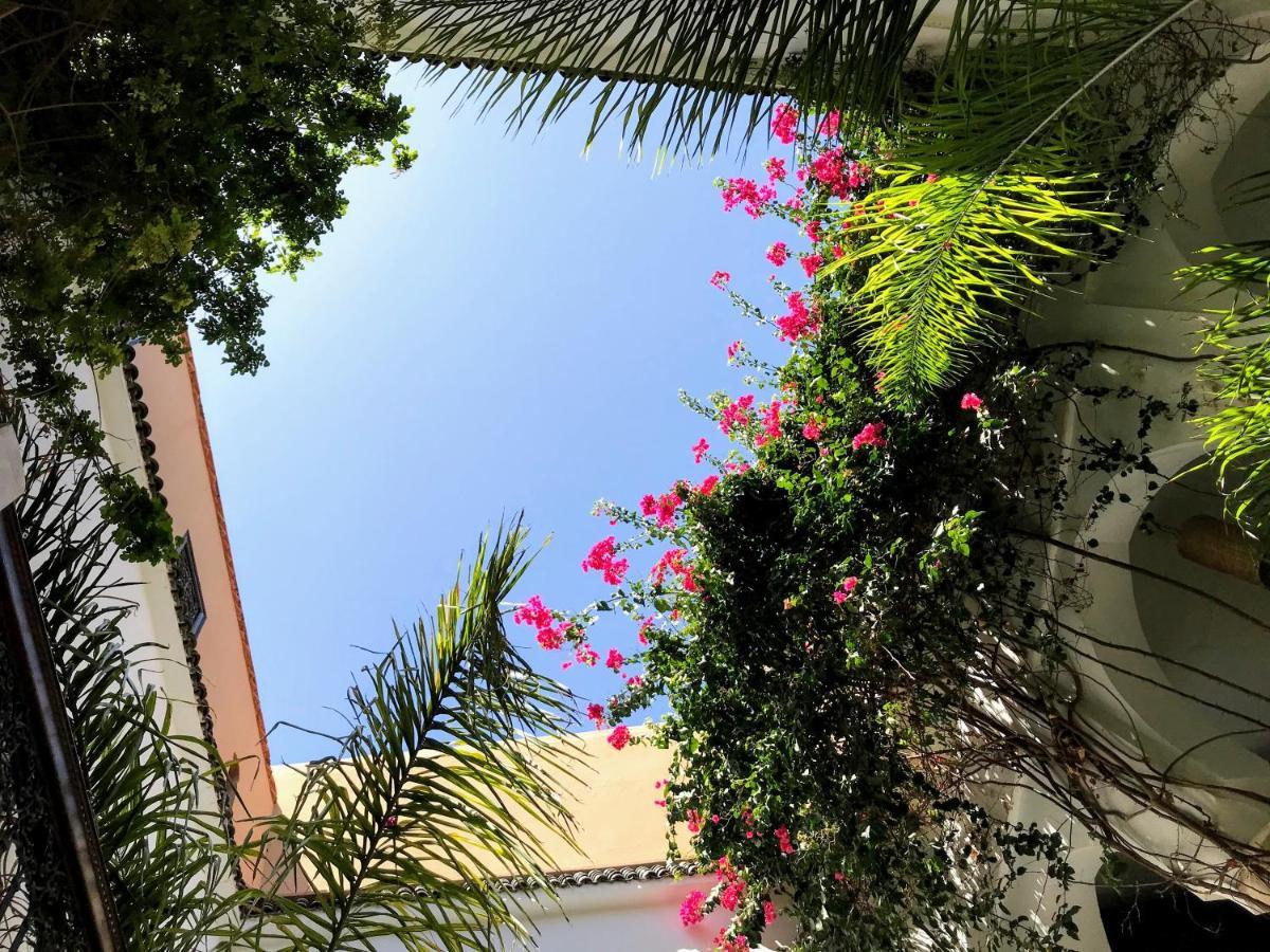 Riad Dar Zaman 3*