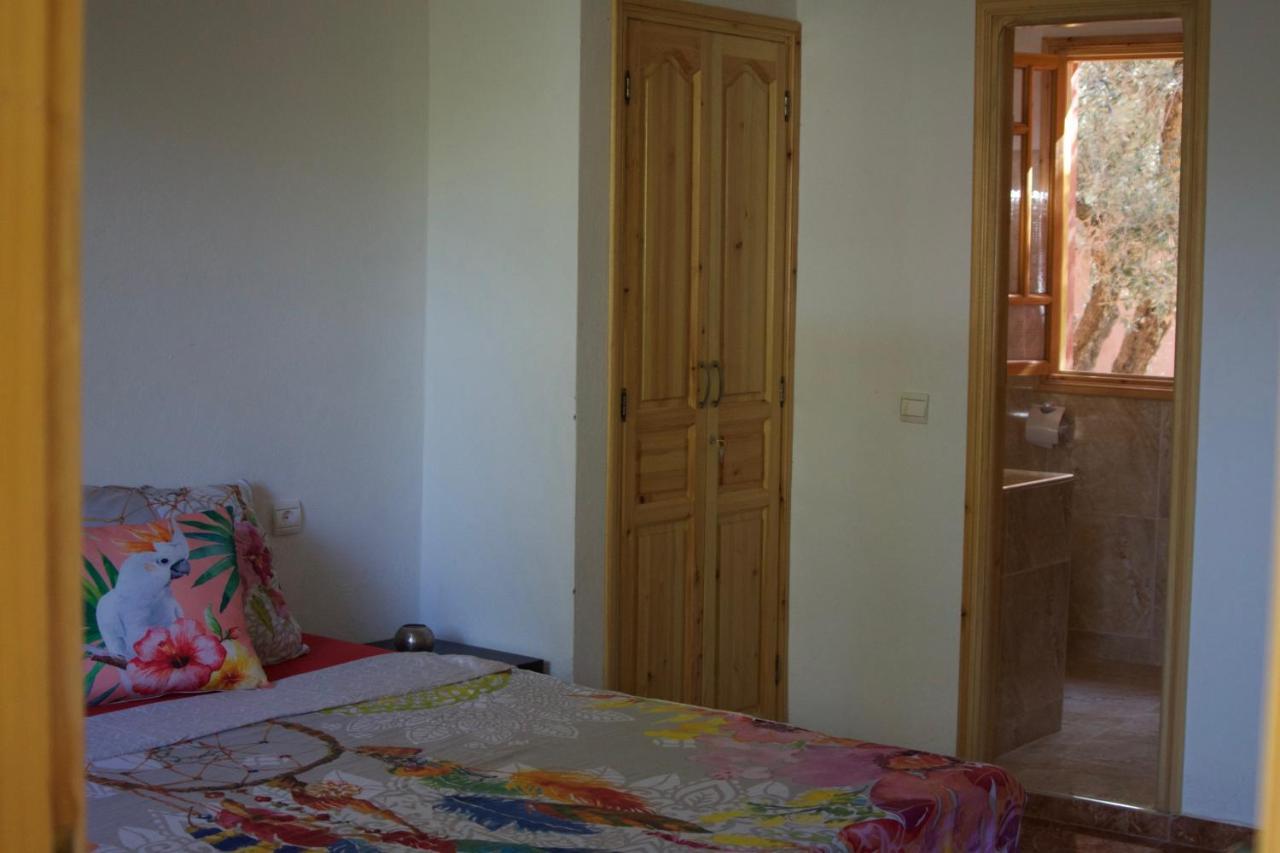 Guest house La Perle Aux Oiseaux Marrakech Marrakesh