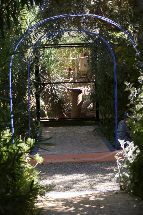 La Perle Aux Oiseaux Marrakech Guest house