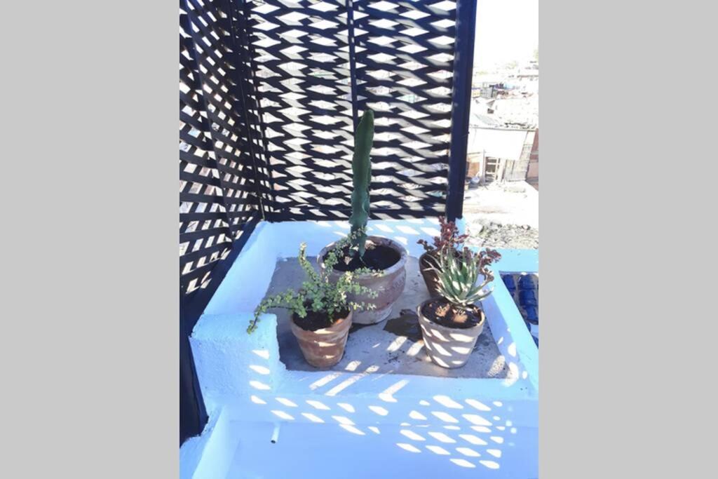 Holiday home Riad Zefyr