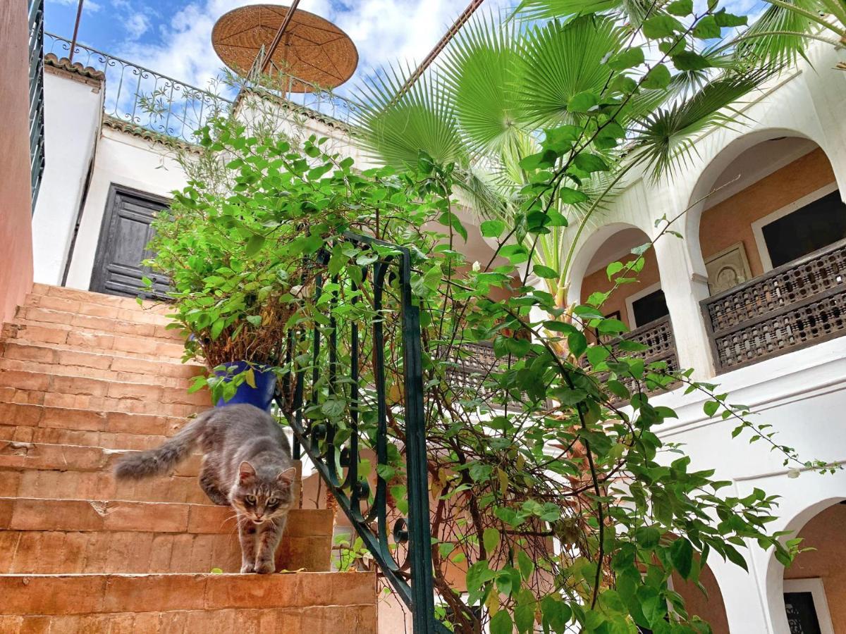 Rockech Riad *