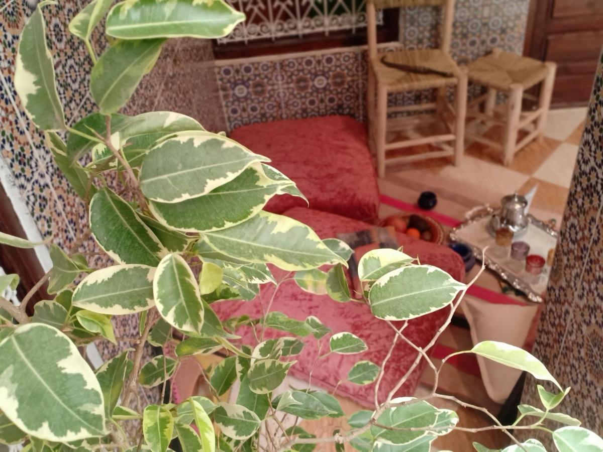 Riad White House *