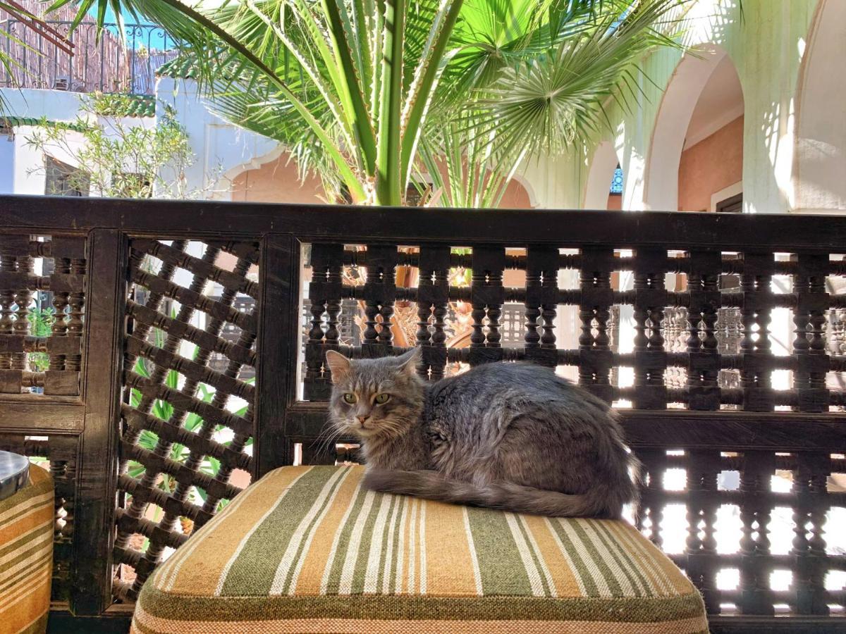 Rockech Riad Marraquexe