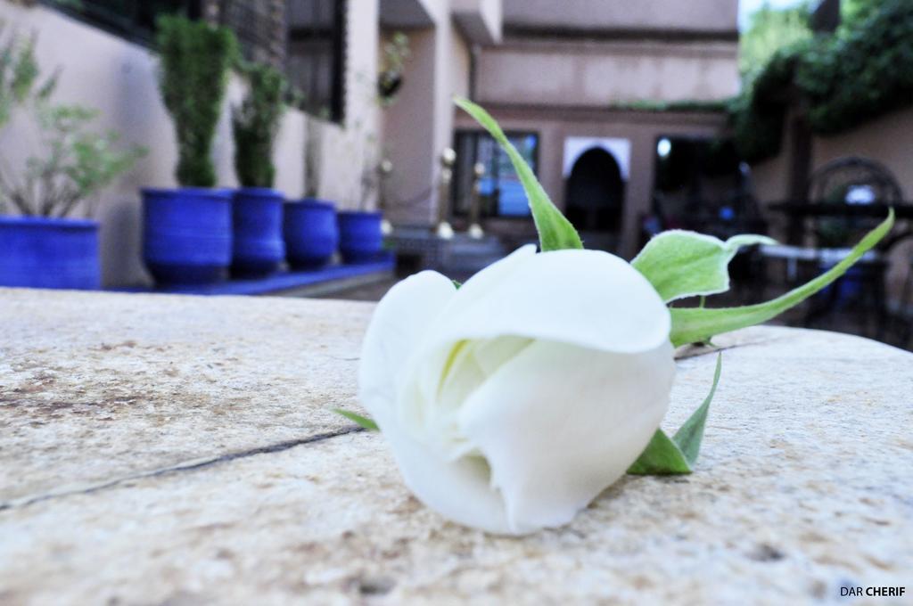 Dar Charaf 3* Marrakesh