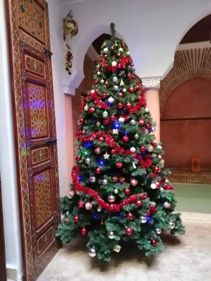 Alena Riad 2*