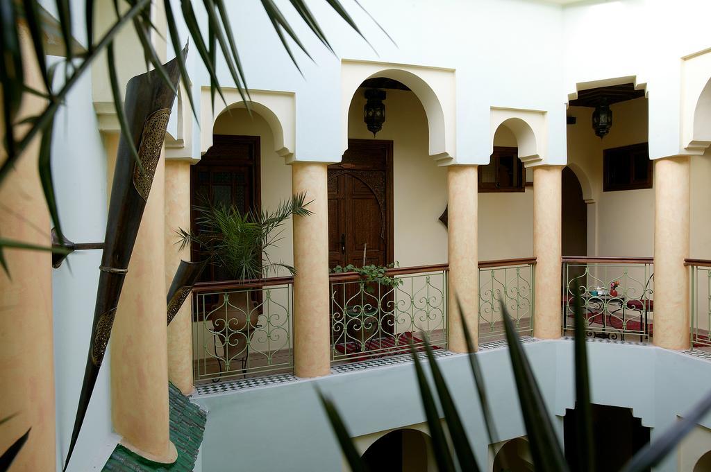 Alida Marrakesh