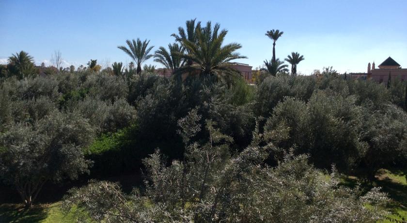 Villa Palmeraie Dar Carla Marrakesh