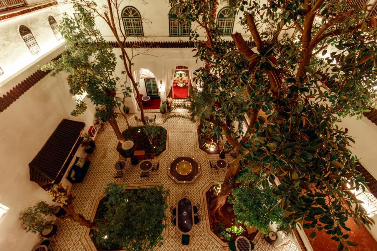 Catalina Riad