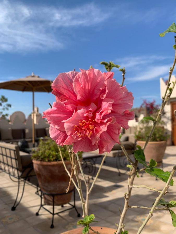 La Claire Fontaine Marrakesh