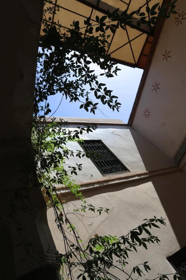 Riad Riad En Exclusivite A 99 Euros Avec 5