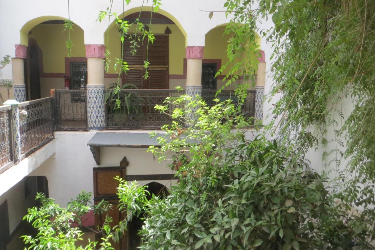 Maizie Marrakesh